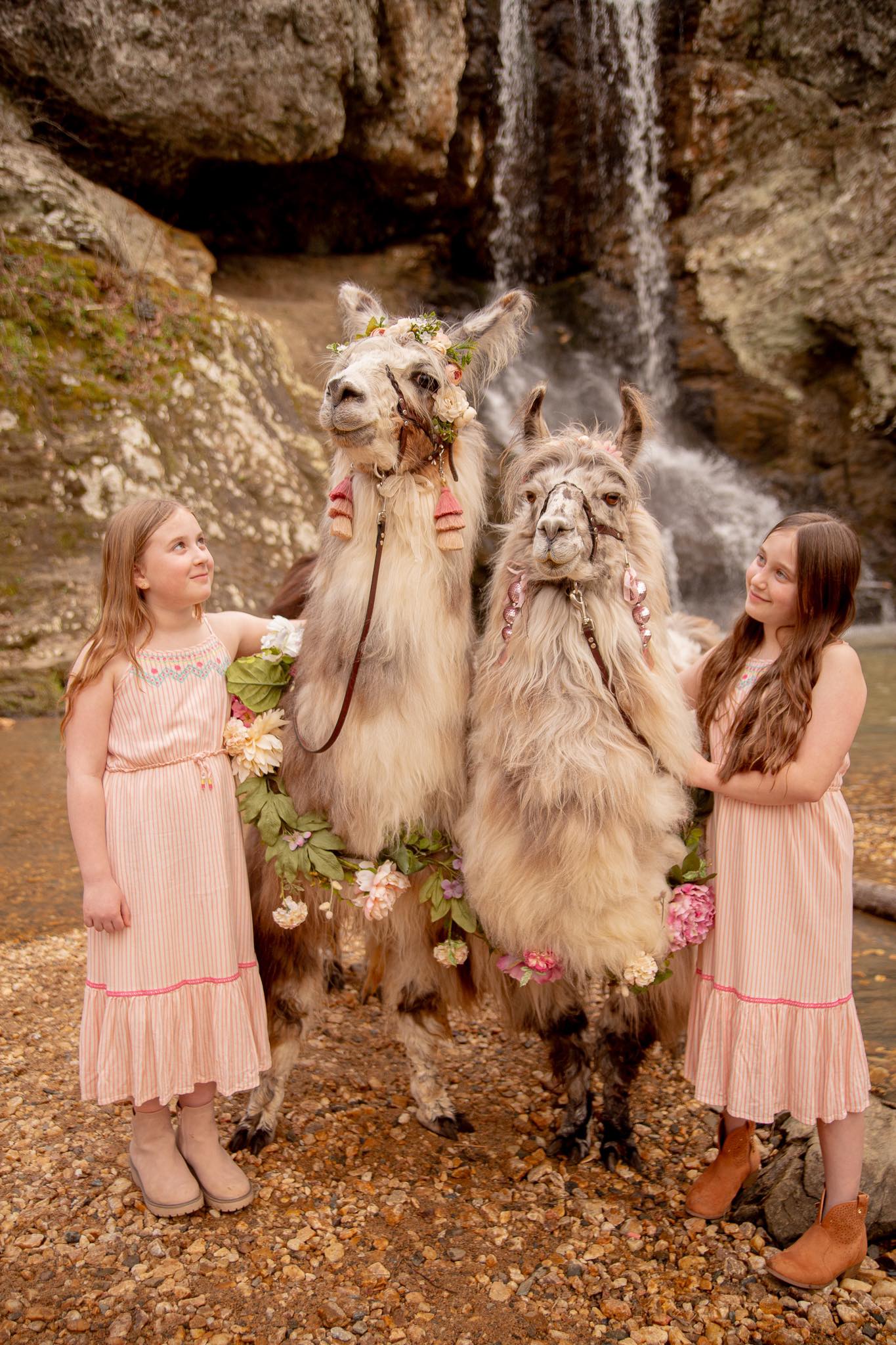 girls and lama