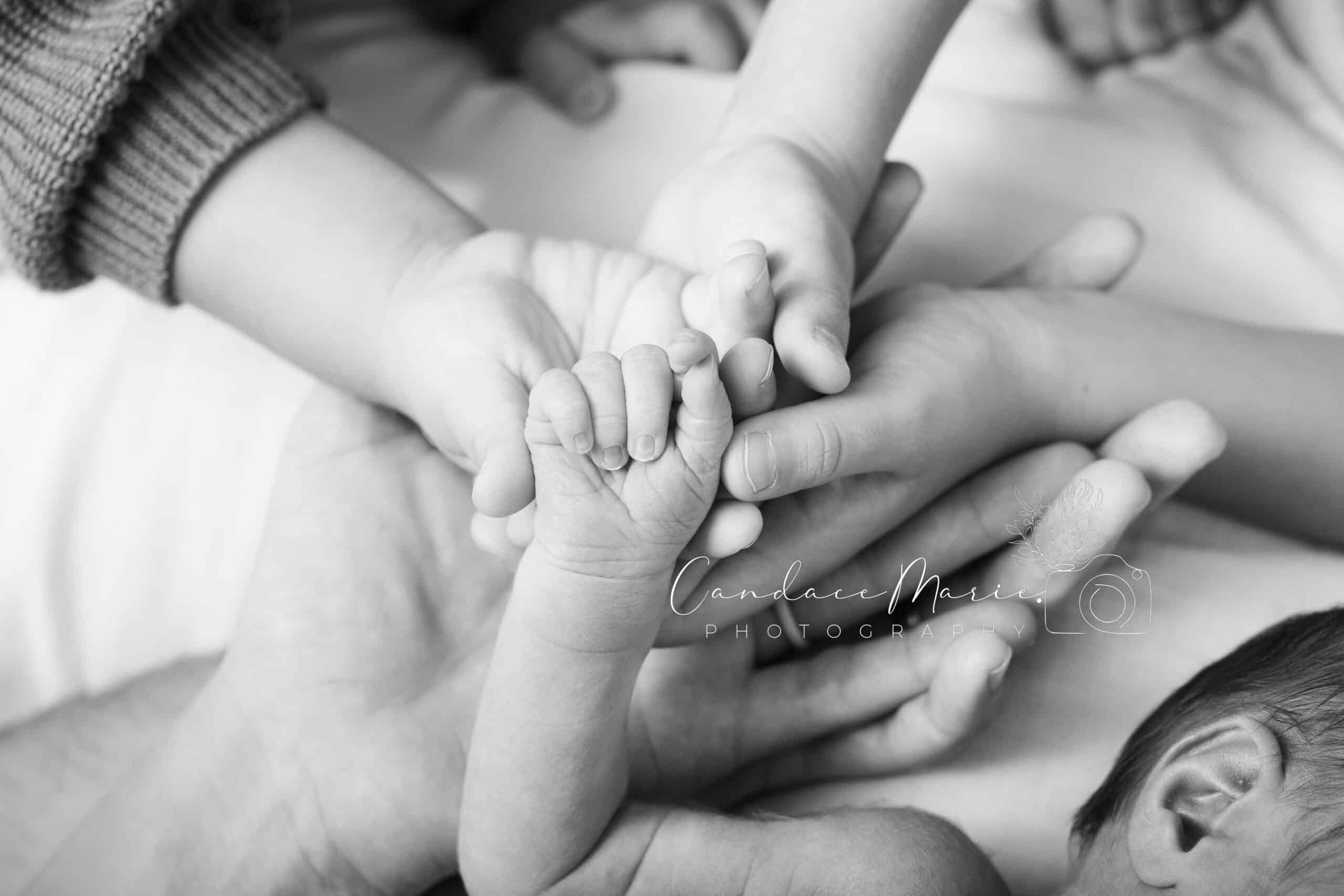 newborn photography